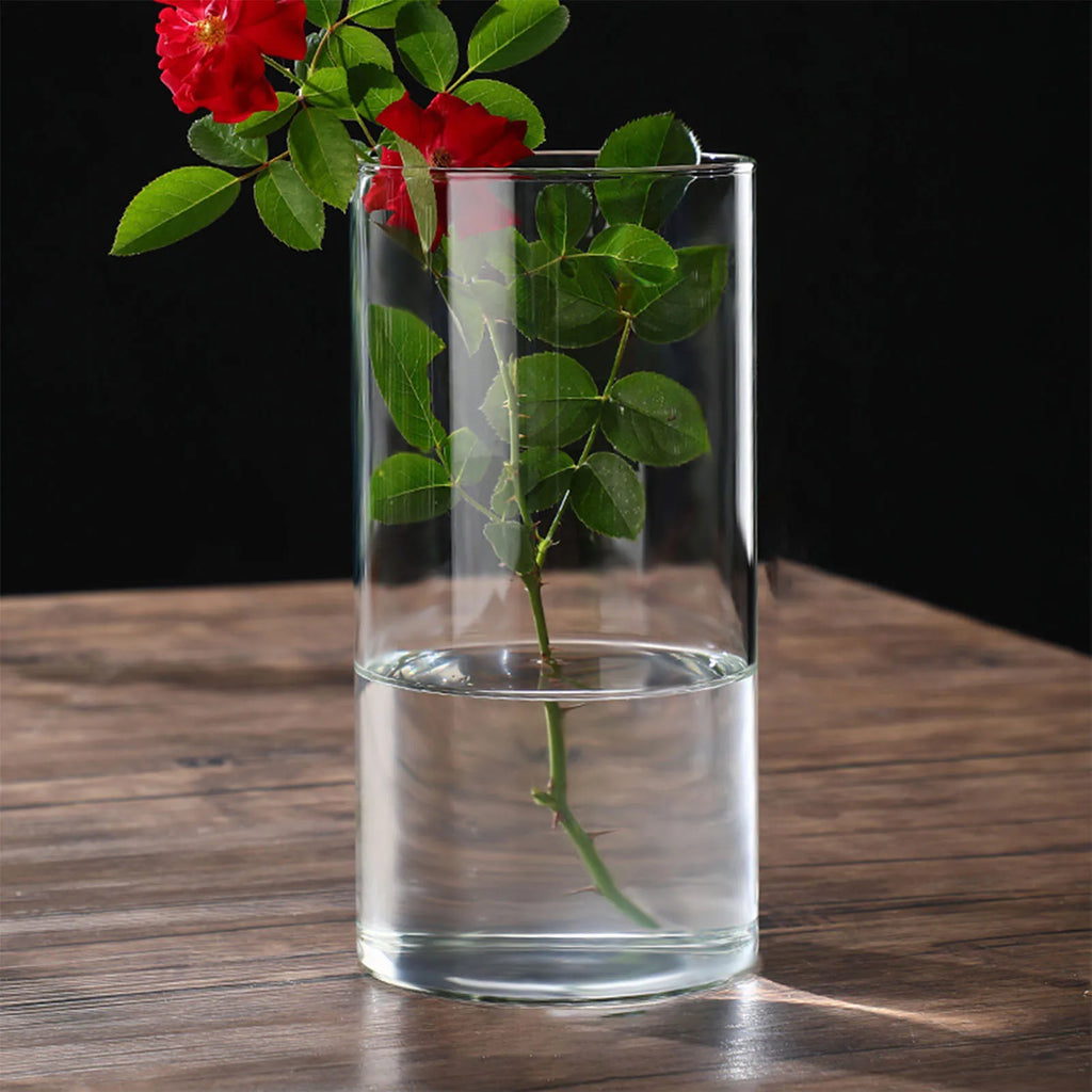 Transparent Glass Hydroponic Vase Minimalist Glass Vase Cylinder Flower Vase for Home Office Wedding Table