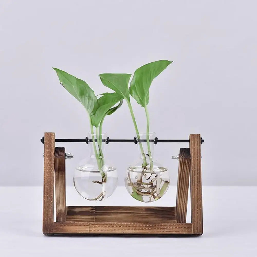 Decoration Terrarium Tabletop Planter Flower Pot Wooden Frame Hydroponic Plant Vases Glass Vase
