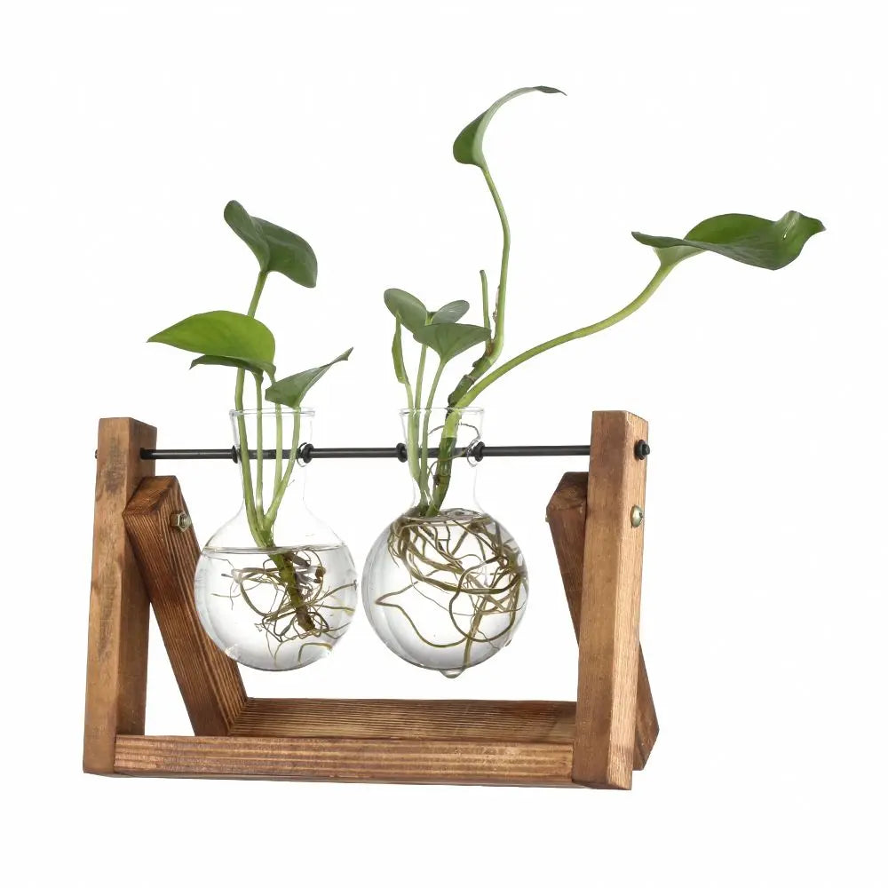 Decoration Terrarium Tabletop Planter Flower Pot Wooden Frame Hydroponic Plant Vases Glass Vase
