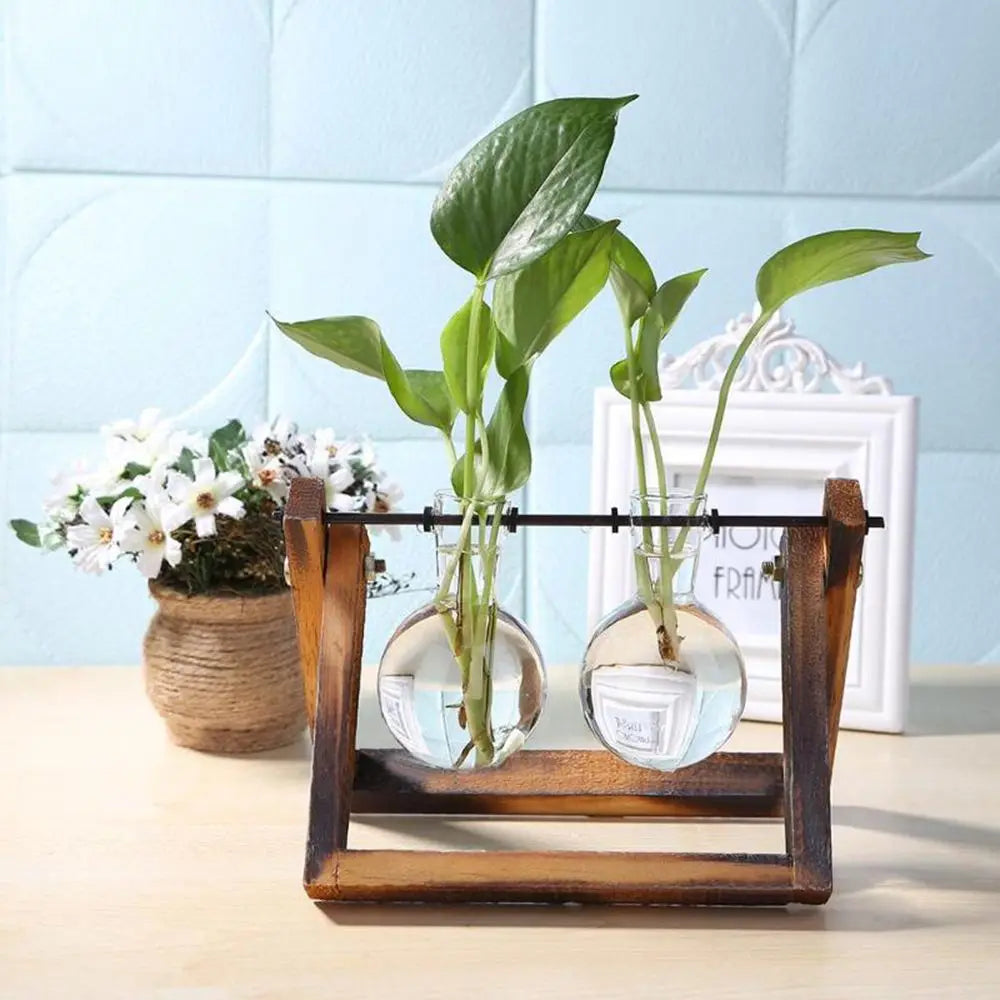 Decoration Terrarium Tabletop Planter Flower Pot Wooden Frame Hydroponic Plant Vases Glass Vase