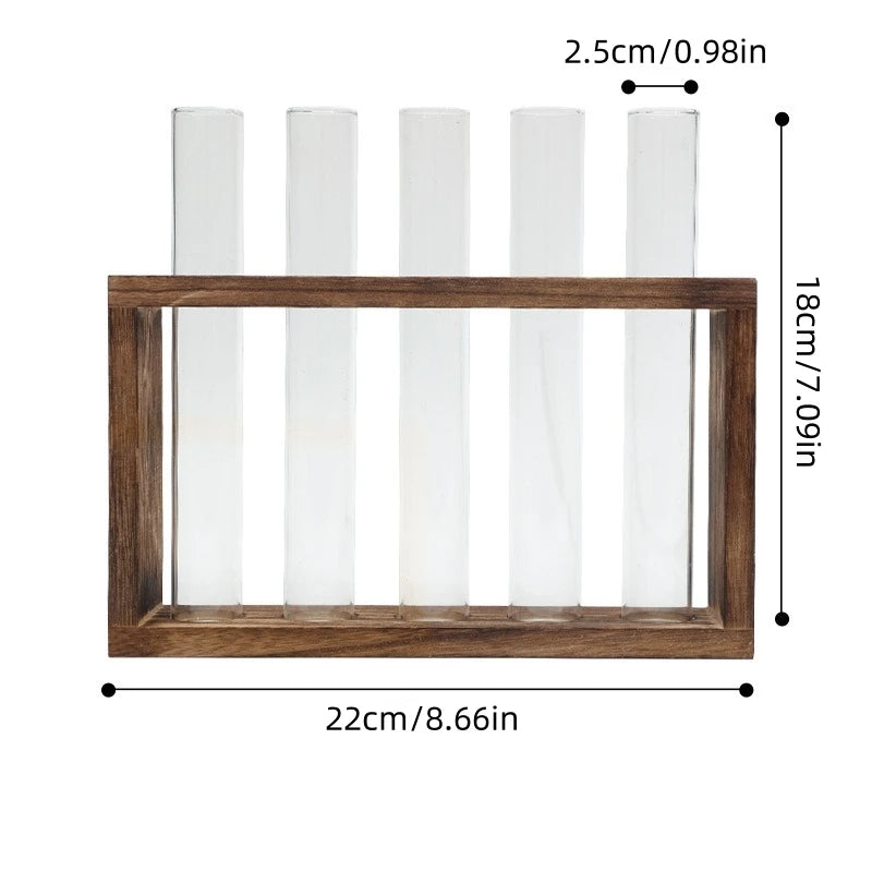 Hydroponic Test Tube Vase Set - Glass Planter for Fresh Flowers, Modern Home Decor Display