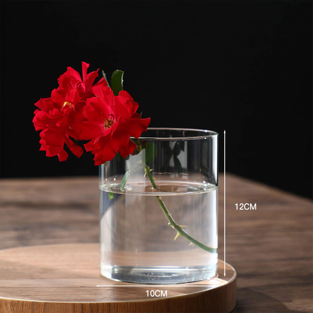 Transparent Glass Hydroponic Vase Minimalist Glass Vase Cylinder Flower Vase for Home Office Wedding Table