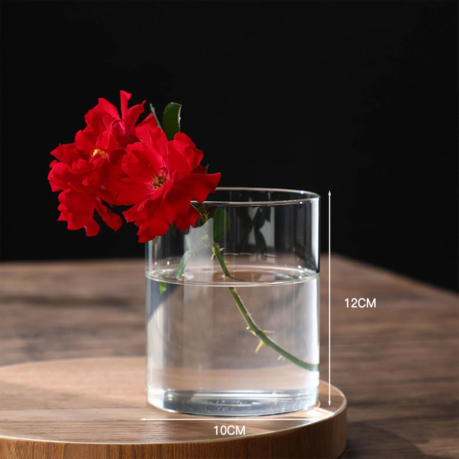 Transparent Glass Hydroponic Vase Minimalist Glass Vase Cylinder Flower Vase for Home Office Wedding Table