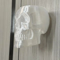 New Gothic Skull Wall Vase Wall Mounted Flower Pot Halloween Spooky Home Wall Decor Ornament