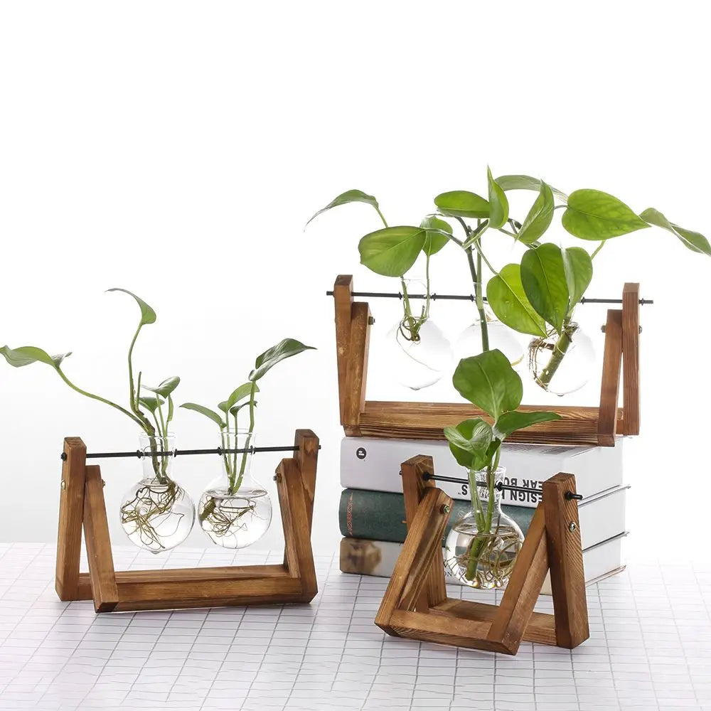 Decoration Terrarium Tabletop Planter Flower Pot Wooden Frame Hydroponic Plant Vases Glass Vase