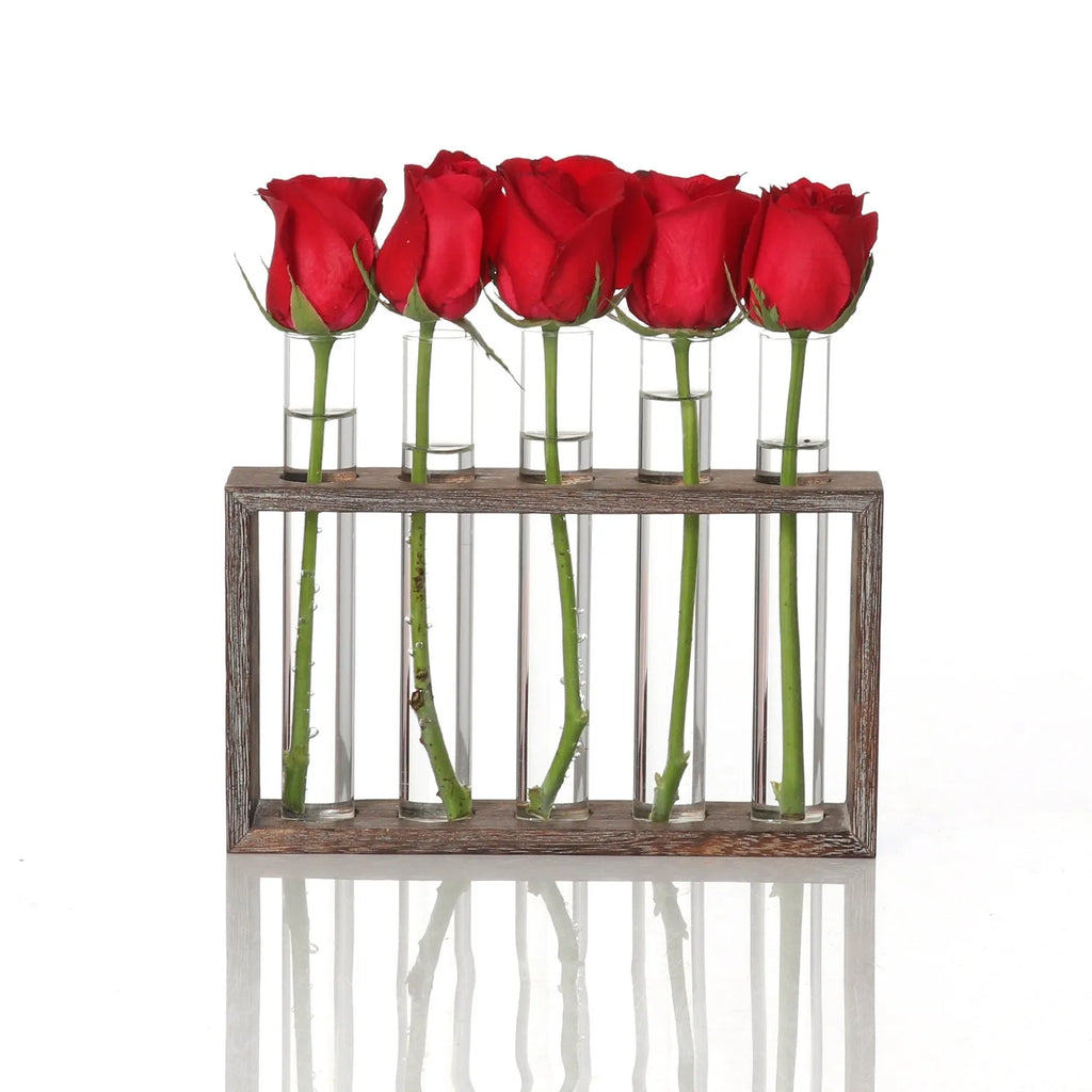 Hydroponic Test Tube Vase Set - Glass Planter for Fresh Flowers, Modern Home Decor Display