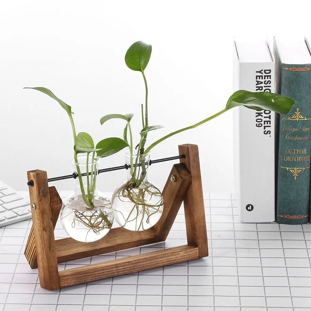 Decoration Terrarium Tabletop Planter Flower Pot Wooden Frame Hydroponic Plant Vases Glass Vase