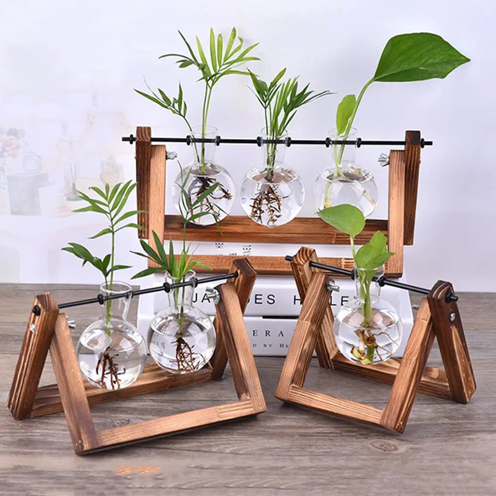 Decoration Terrarium Tabletop Planter Flower Pot Wooden Frame Hydroponic Plant Vases Glass Vase